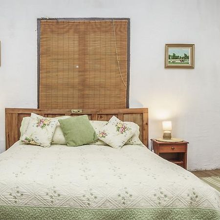 La Casa De Adobe Natural Y Mas Bulnes Ngoại thất bức ảnh