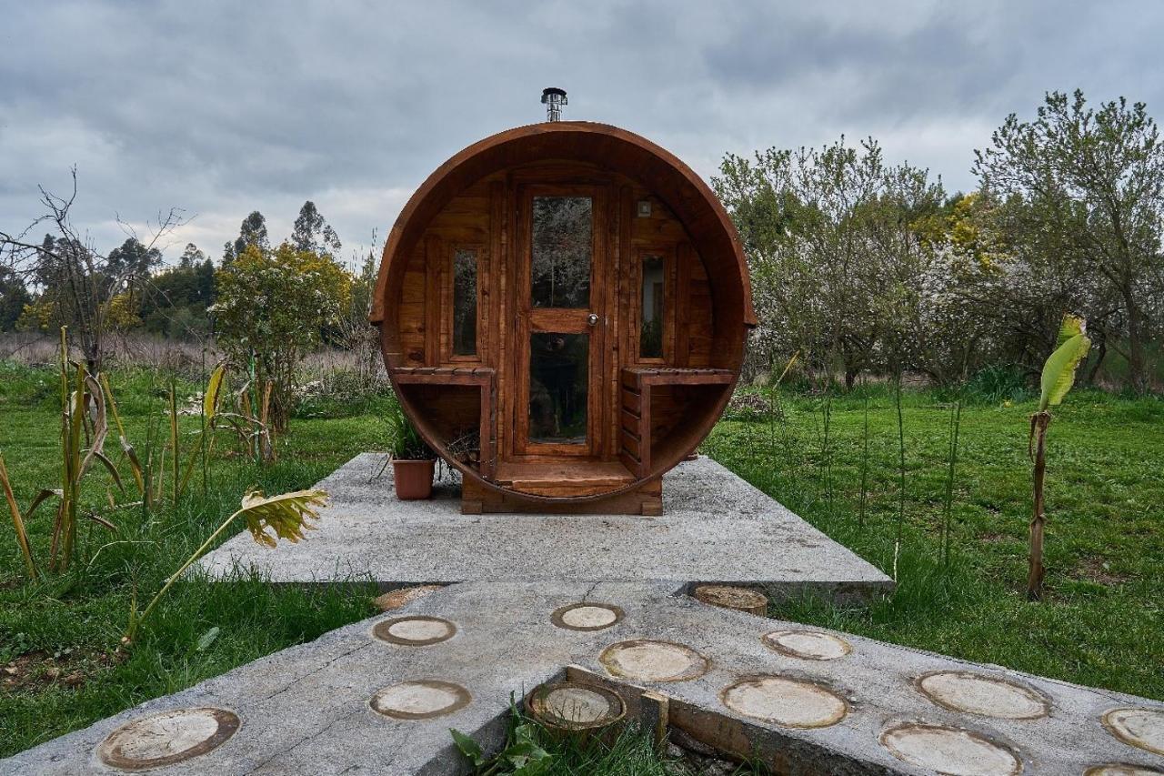 La Casa De Adobe Natural Y Mas Bulnes Ngoại thất bức ảnh