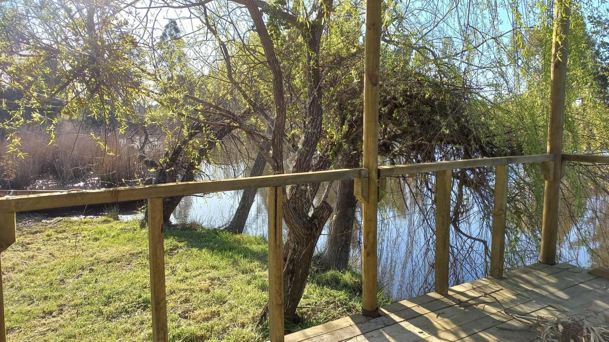 La Casa De Adobe Natural Y Mas Bulnes Ngoại thất bức ảnh